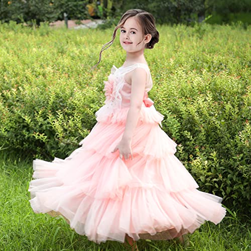 Sunny Fashion Flower Girls Dress Pink Cake Skirt Pearl Diamond Heart Bodice Backless3