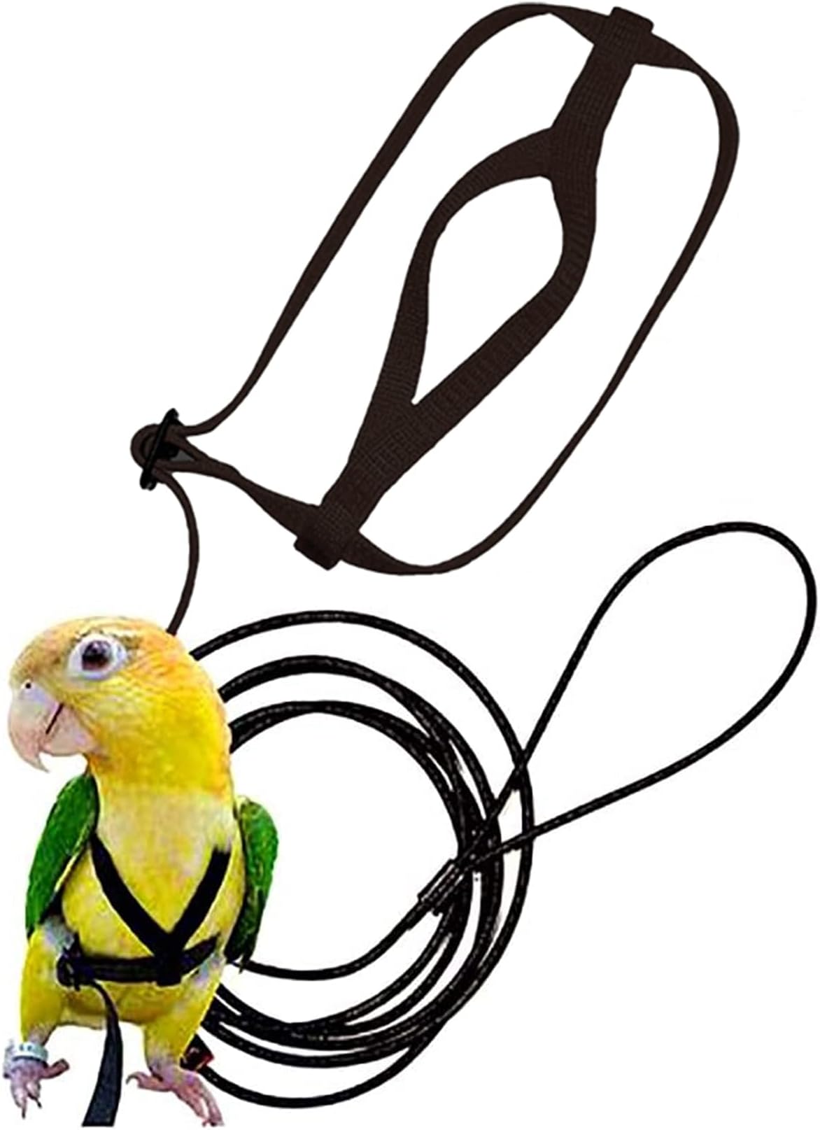 Bird Harness, Leash Bird, Parrot Harness and Parrot Leash Supplies, Bird Nylon Rope, Adjustable Training Design Anti-Bite, Suitable for Parrot,Conures, Birds (Black)