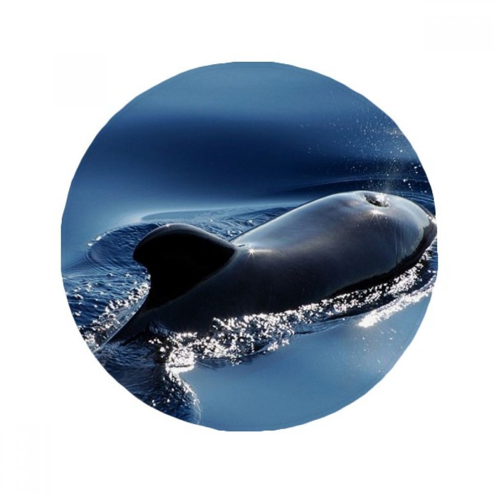 Tapis anti-slip baleine ocean rond 50cm resout sols glissants