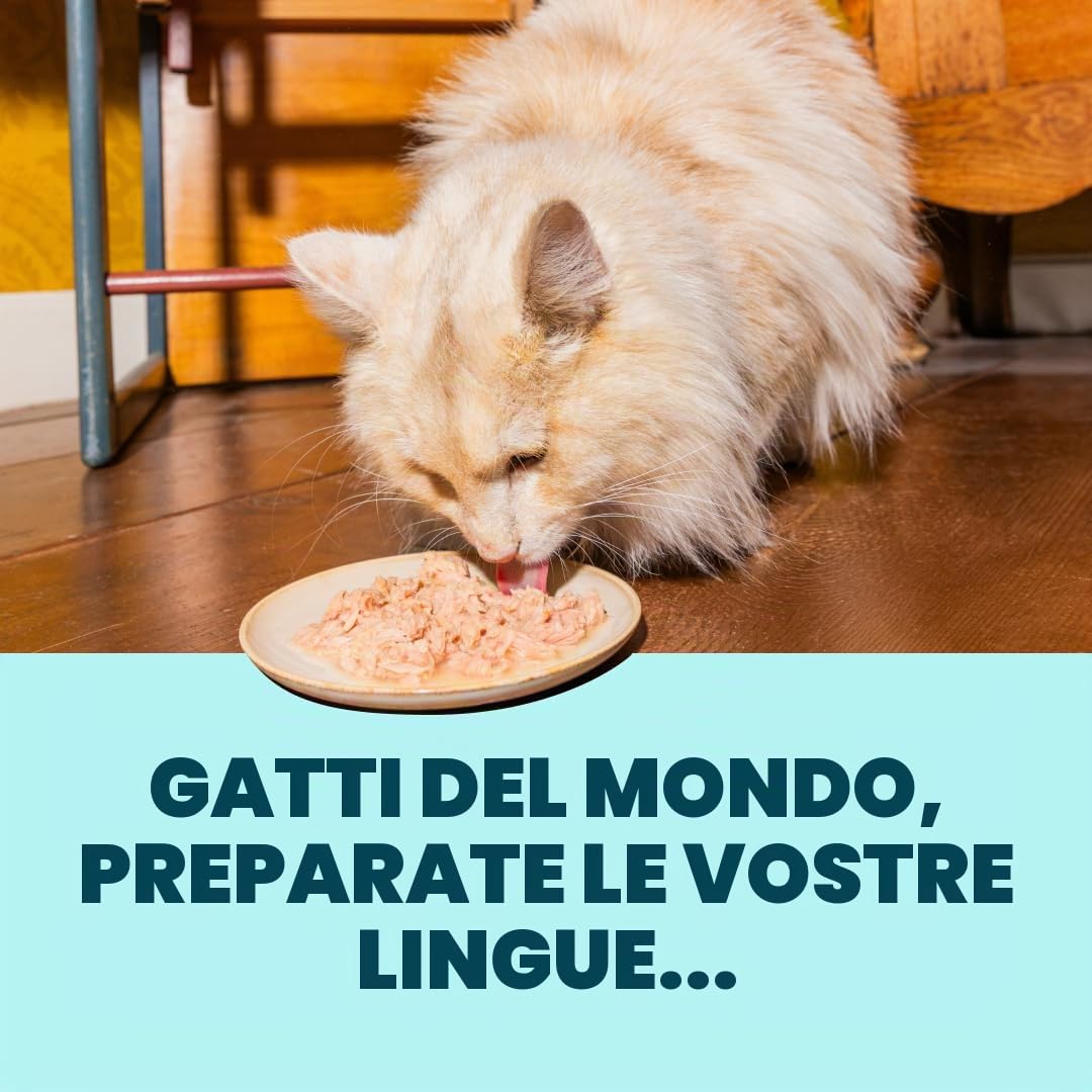 Edgard & Cooper cibo umido per gatti, (Tonno/Gamberetti Fresco, 70g x 24), Filettini per gatti, sterilizzati o attivo, carne fresca e ingredienti naturali, senza cereali, senza zuccheri aggiunti