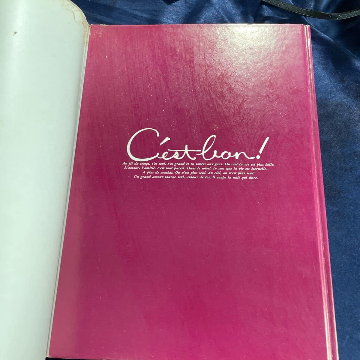 Amazon.co.jp: 古本 帯なし 写真集 C'est bon! セボン 鈴木