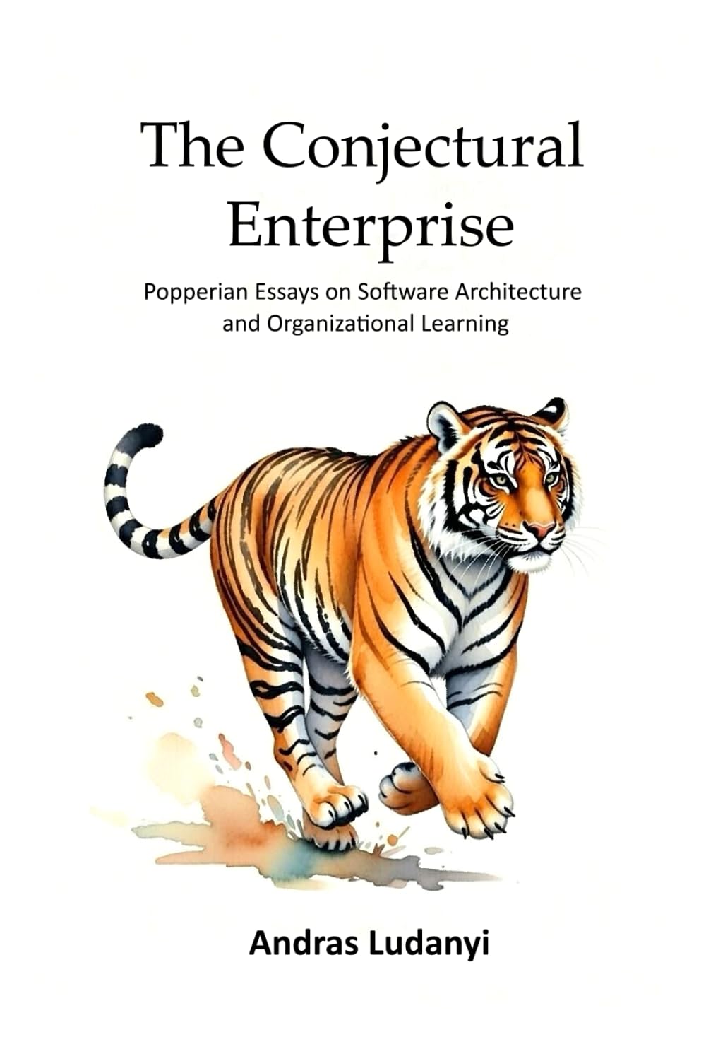 The Conjectural Enterprise: Popperian Essays on Software Architecture and Organizational Learning
