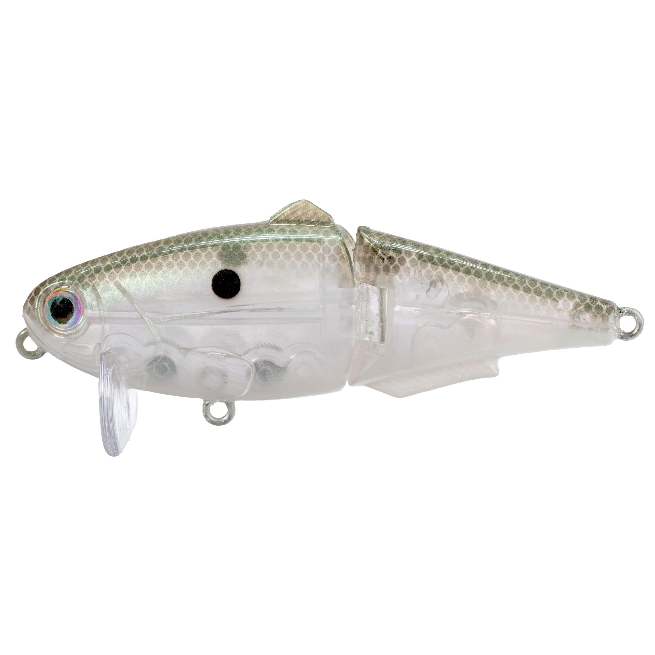 Strike King (HCWS2-568) Wake Shad Angelköder, Einzelgelenk, schwimmender Topwater Wakebait, Größe 2, Drillingshaken, grüner Gizzard Shad