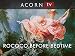 Understanding Art: Baroque & Rococo