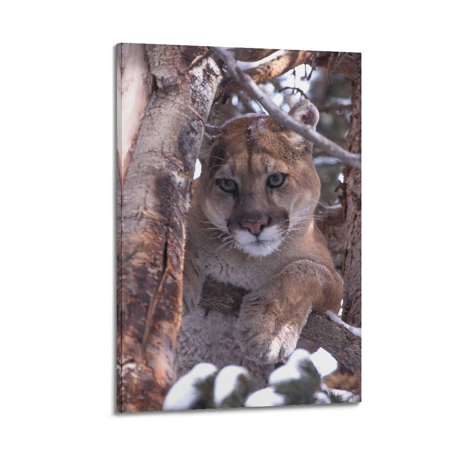 JTLFXY Large Feline Poster Beast Cougar Cheetah Leopard Poster Decorative Painting Canvas Wall Posters And Art Picture Print Modern Family Bedroom Decor Posters 20x30inch(50x75cm)
