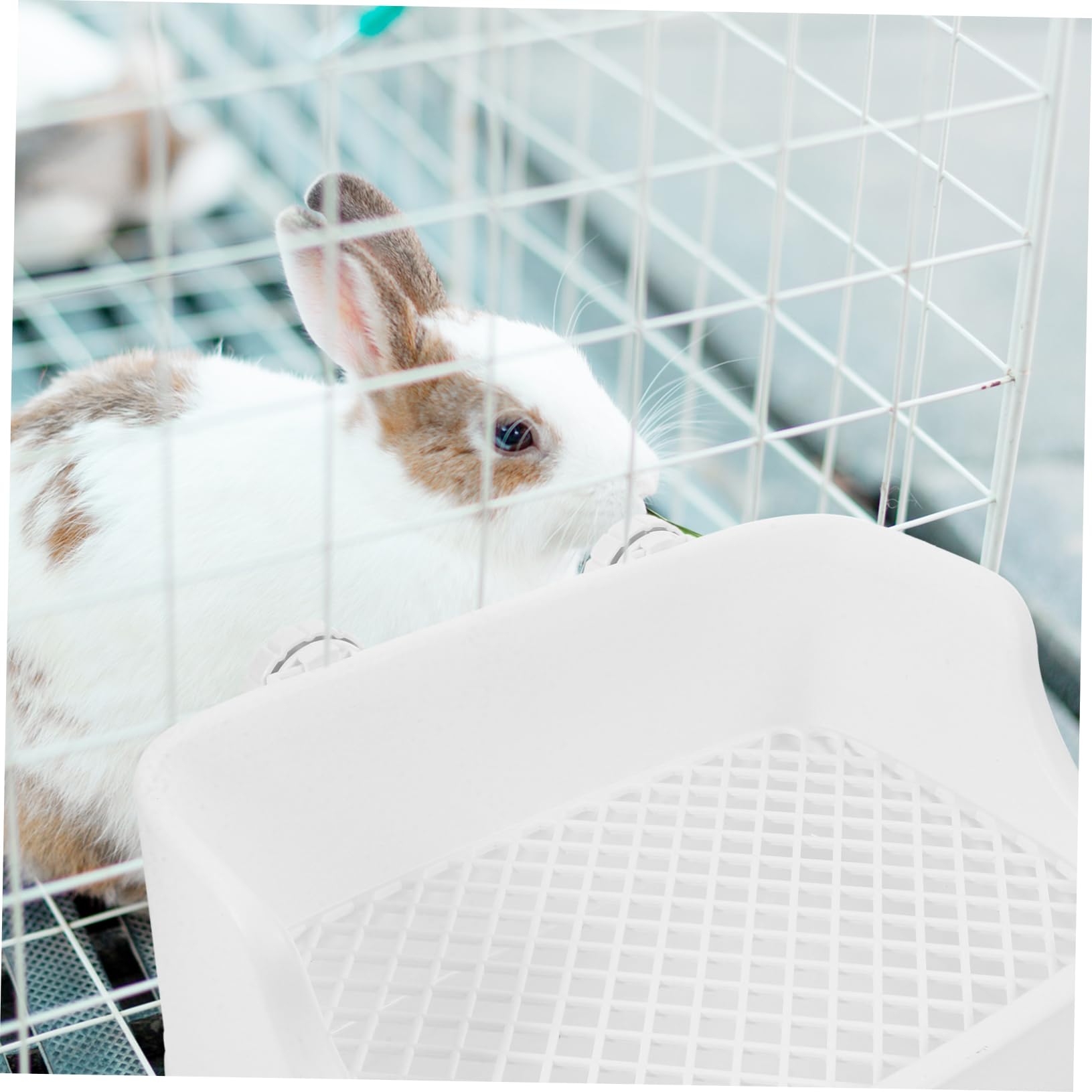 Boîte Litière Lapin Antigoutte pour Petits Animaux Bac à Litière Réutilisable pour Cage Intérieure Toilettes Lapin Nettoyage Facile Maison Toilette Propre