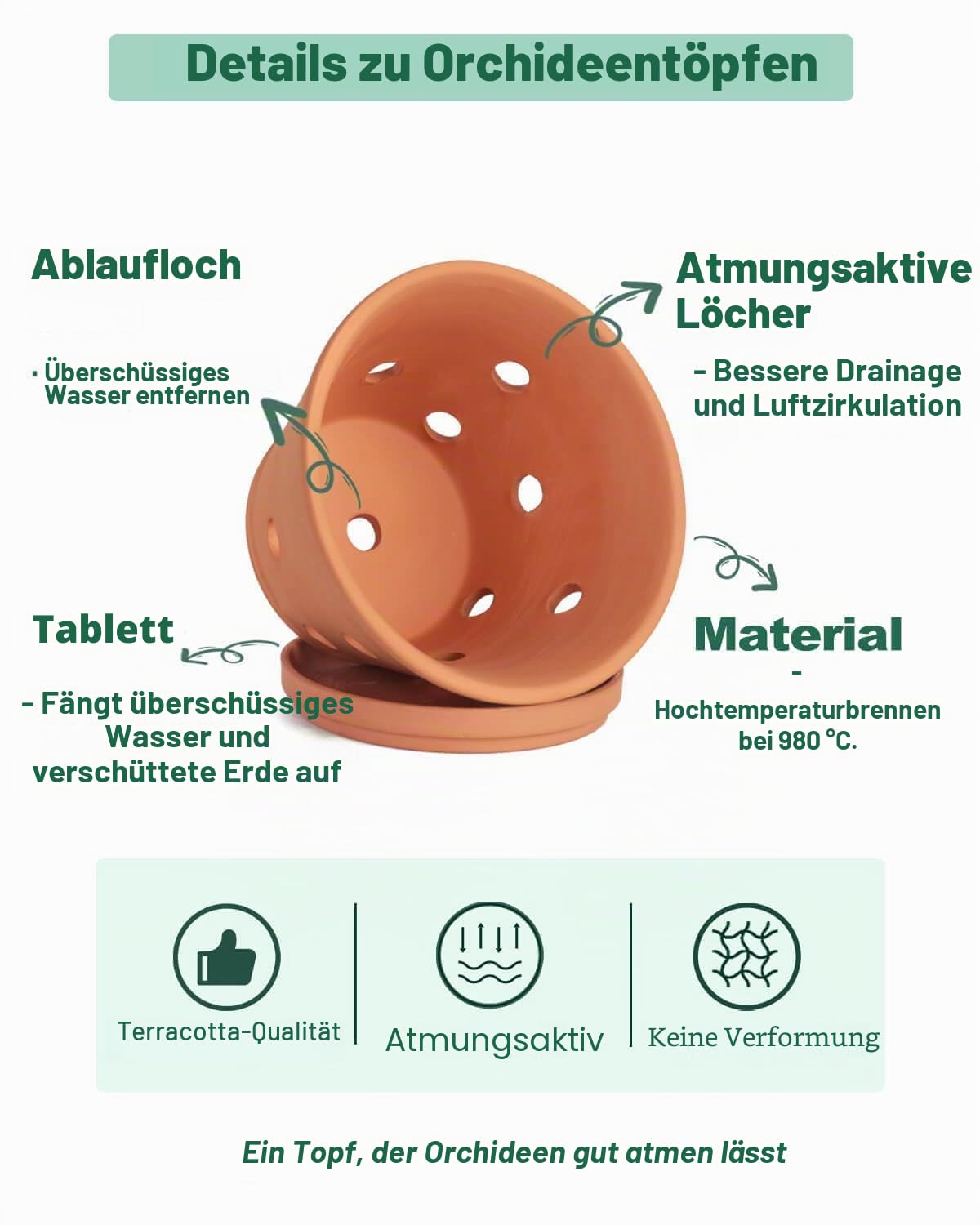 vensovo Terracotta Orchideentöpfe mit Löchern und Untersetzern - Ton Orchidee Pflanztöpfe zum Umtopfen, Pflanze Blumentöpfe für Orchidee Innen und Außen Fördert die Luftzirkulation