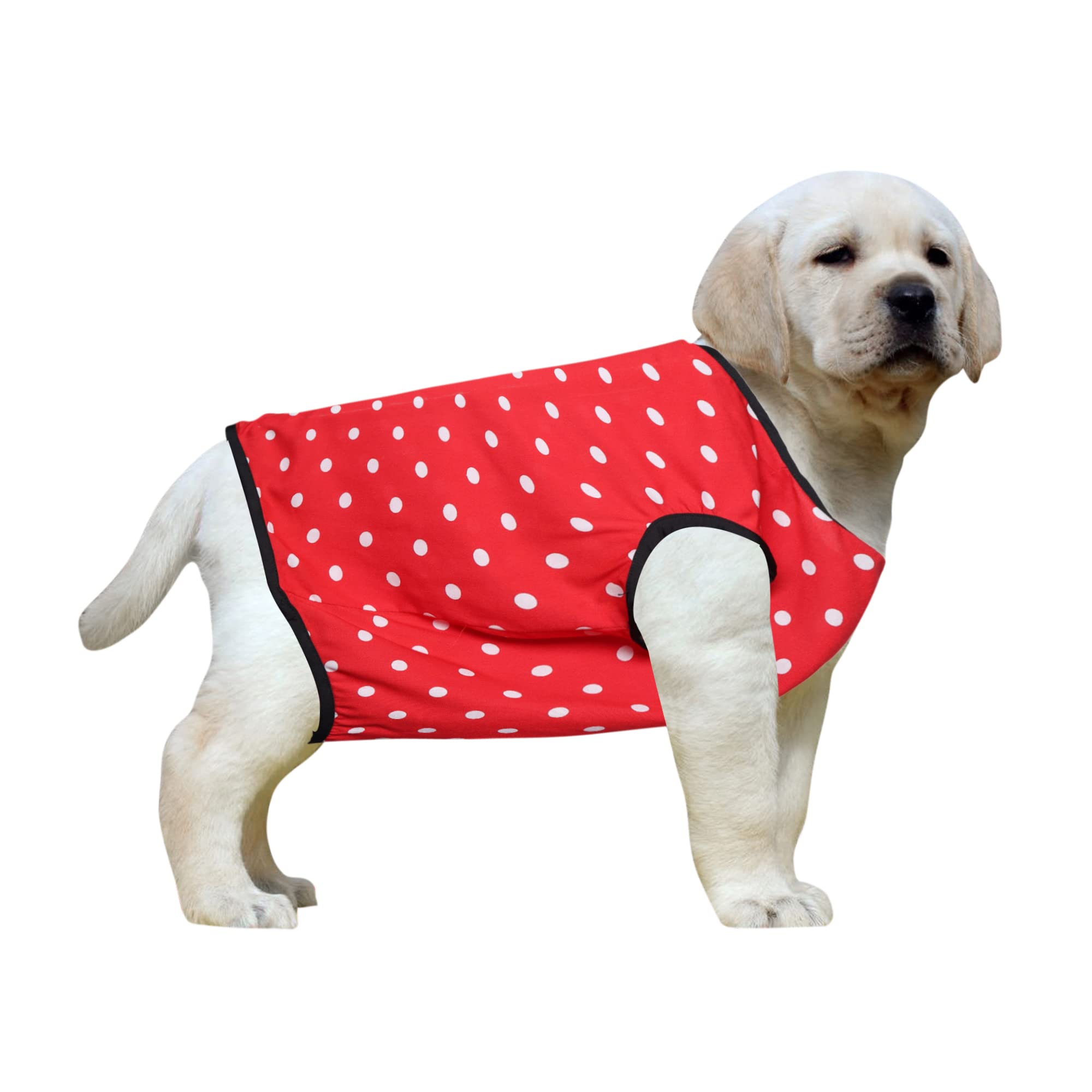 Western Era Funky Soft Cotton Dog T-Shirt, Comfortable Dog Clothing, Sleeveless Vest Puppy Outfit, Apparel (Polka Red) (XXSmall) (10 inches) (B09WML1MCF) Amazon Price History, Amazon Price Tracker