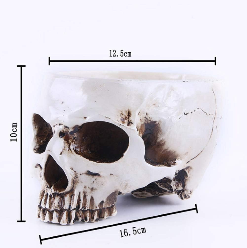 Resin Skull Shaped Human Head Design Flower Pot Planter Container Decoration Flowerpot Props for Home Office Desk Halloween Decoration (Style 1)