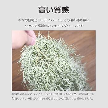 Amazon|lifactlab. フェイクグリーン 壁掛け つり下げ エアプランツ Amazon|lifactlab. フェイクグリーン 壁掛け つり下げ エアプランツ