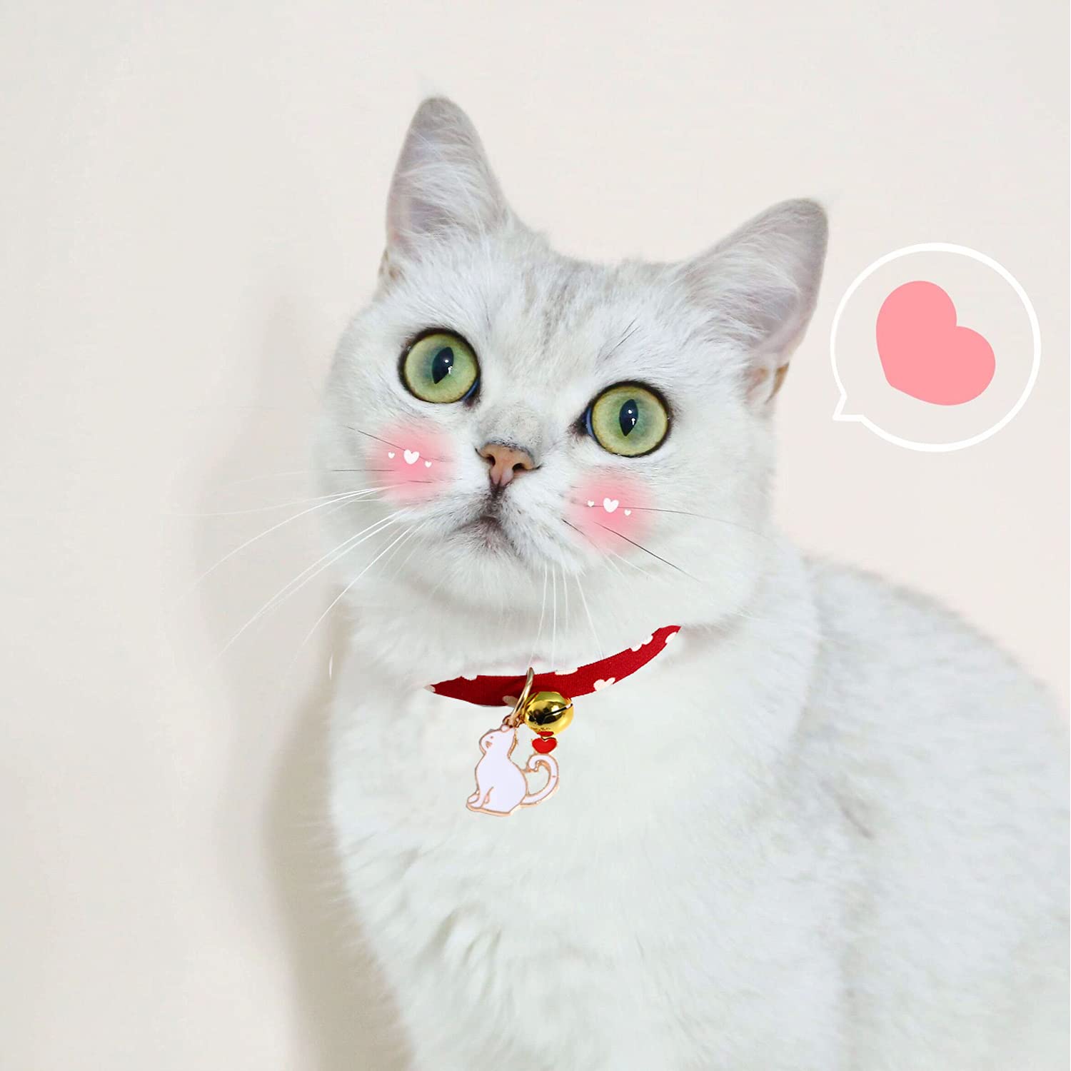 Collier En Nylon Pour Chat, Collier De Chat Réglable Avec Cloche