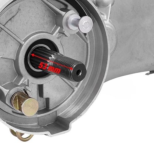 cyclingcolors Kompletter Motor für chinesische 50ccm Roller, kompatibel mit Gy6 139QMB Peugeot V Click Baotian BT49QT Rex (Länge 400mm)