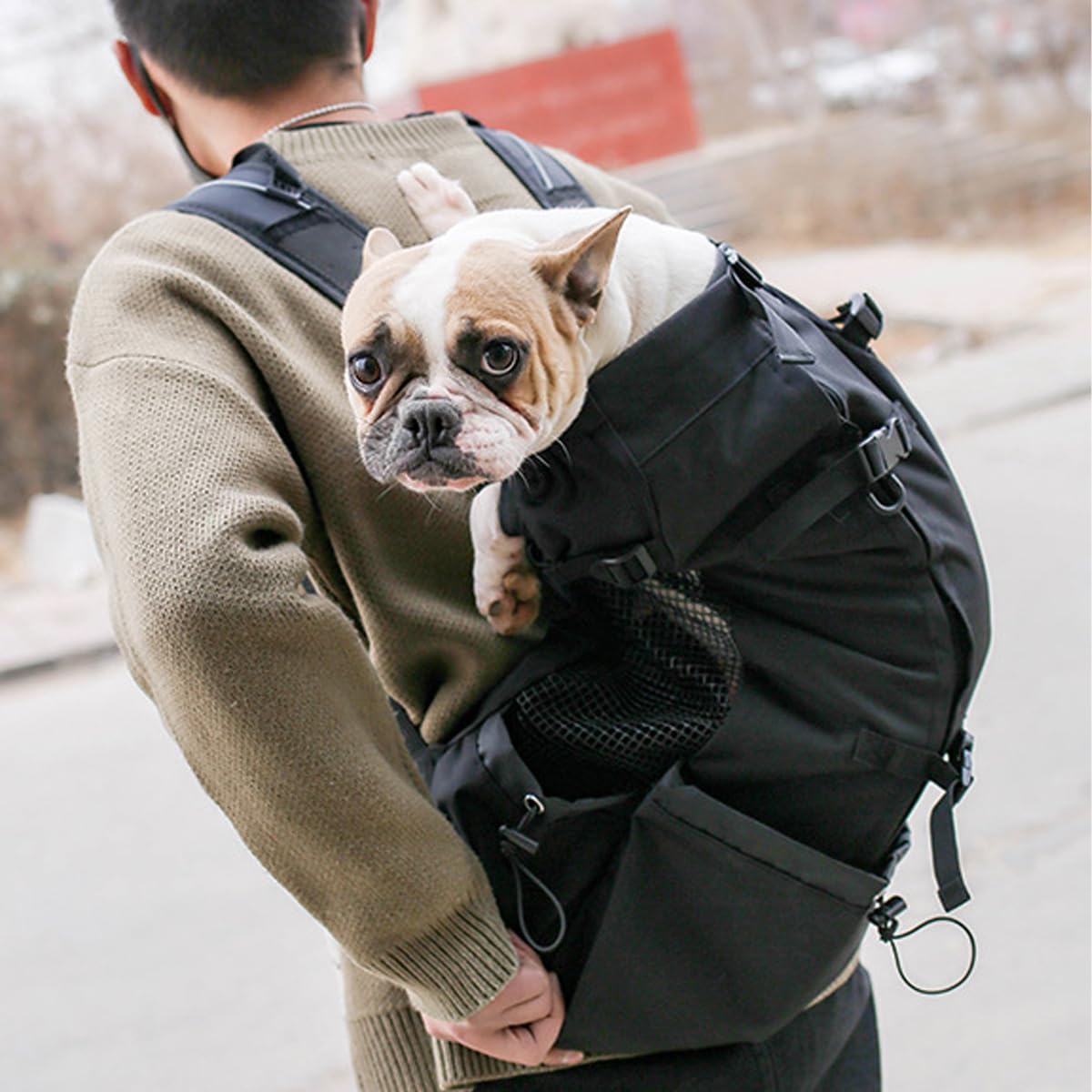Zaino per cani con coulisse testa fuori design Puppy Carrier Zaino per piccolo animale domestico medio di viaggio a piedi Sicurezza all'aperto/confortevole/leggero (XL nero)