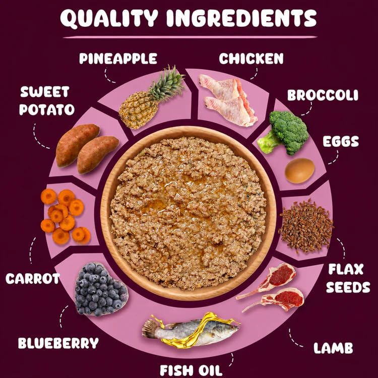 Pawpeye Wet Dog Food Trial Box | 3 x 100g (2 Flavours – Chicken & Lamb) | Gravy for Adult Dogs | Vet-Formulated, Human-Grade, Grain-Free, Preservative-Free, 100% Natural 1