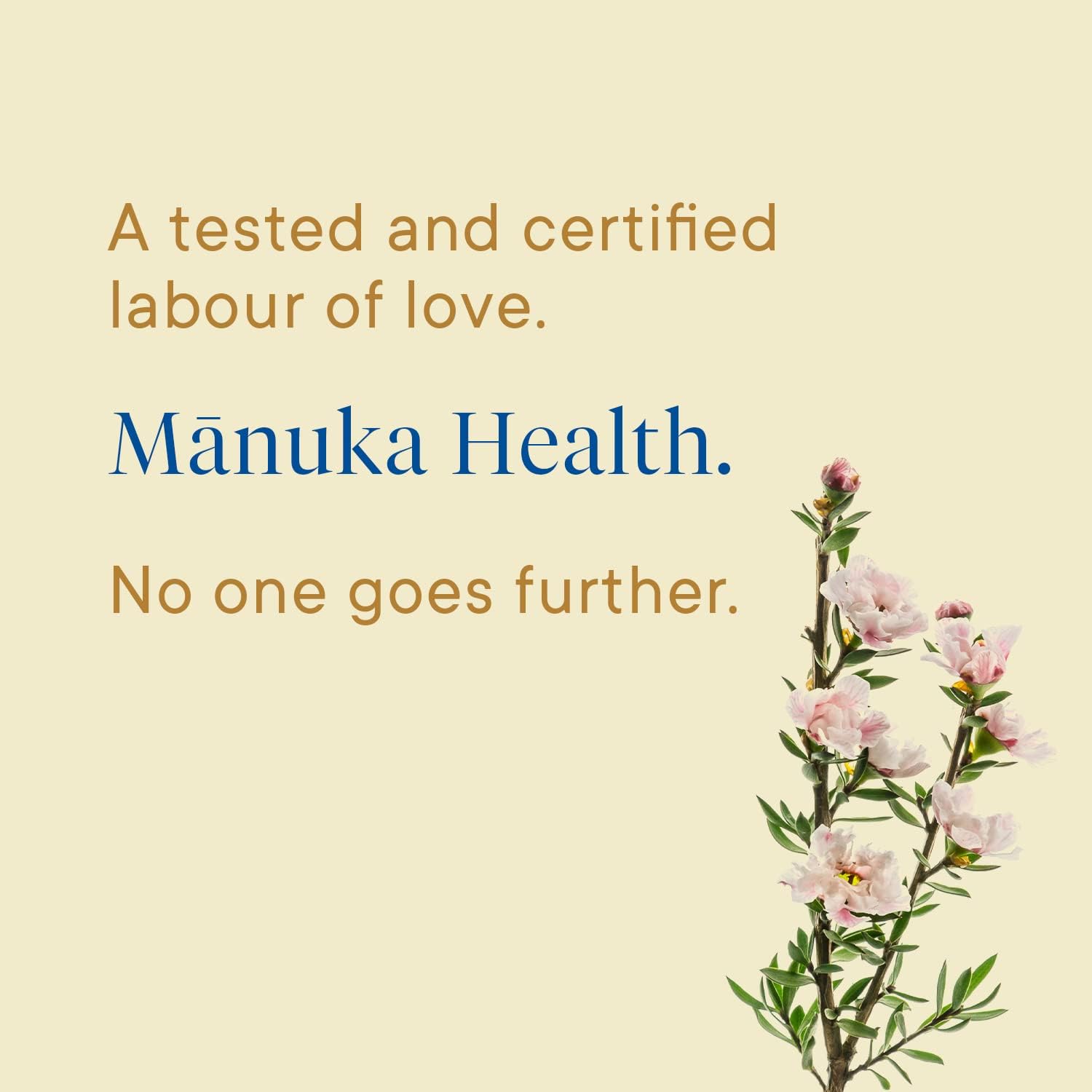 Manuka Health Bundle, UMF 13+/ MGO 400+ Manuka Honey (8.8oz Jar) and UMF 6+/MGO 115+ On-The-Go Packets (12 Count), Superfood, Authentic Raw Honey from New Zealand