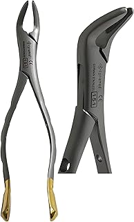 Premium Dental Extracting Extraction Forceps #150#151#23- Apical Forceps, Cowhorn Forceps, Lower Molars, Atraumair-Premium Stainless Steel Reusable Dental Instruments (EXTRACTING FPRCEP #151)