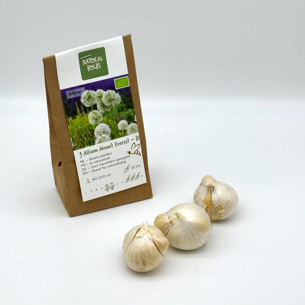 Allium Mount Everest - BIO 75 Blumenzwiebeln aus Holland