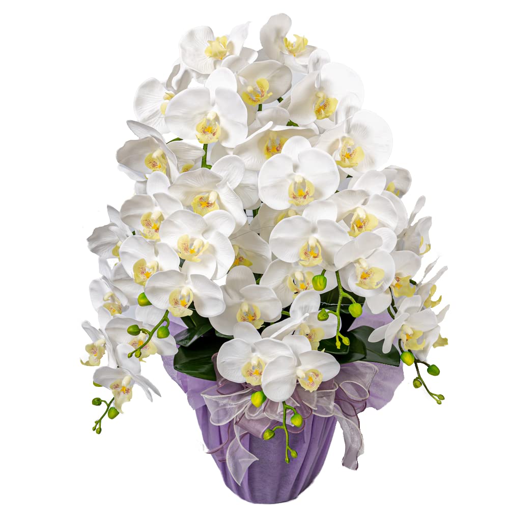 Amazon｜胡蝶蘭 5本 白 造花 1個 花瓶付き 立札 メッセージカード