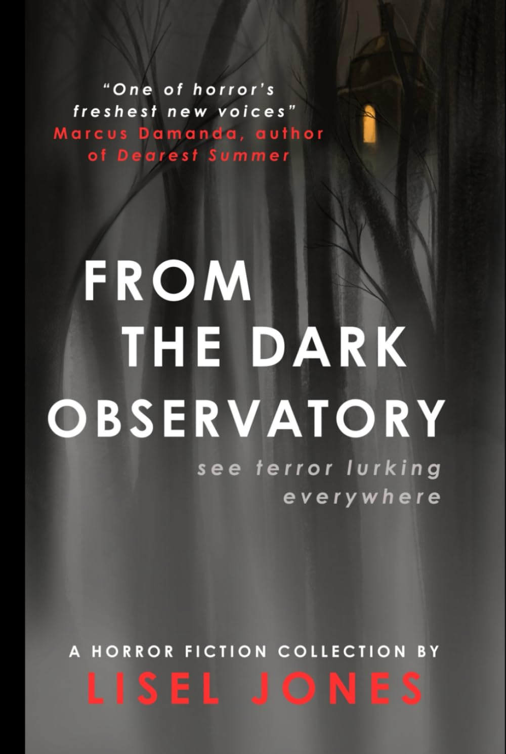 From the Dark Observatory: A Horror Fiction Collection
