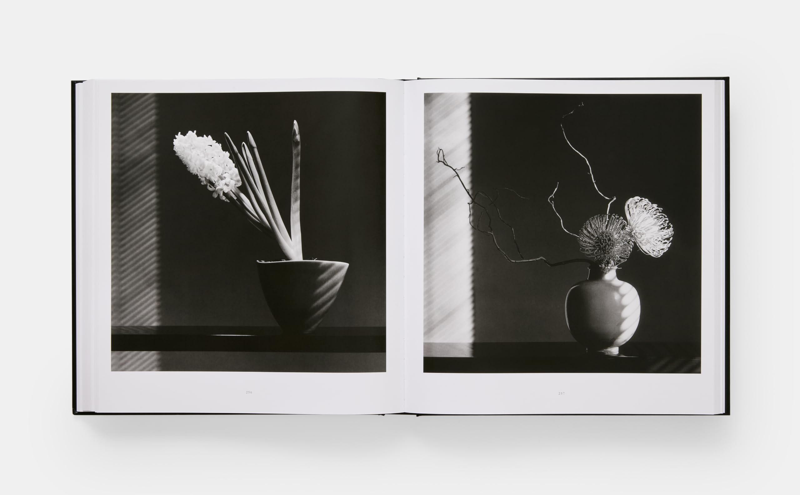Robert Mapplethorpe. Flora. The complete flowers
