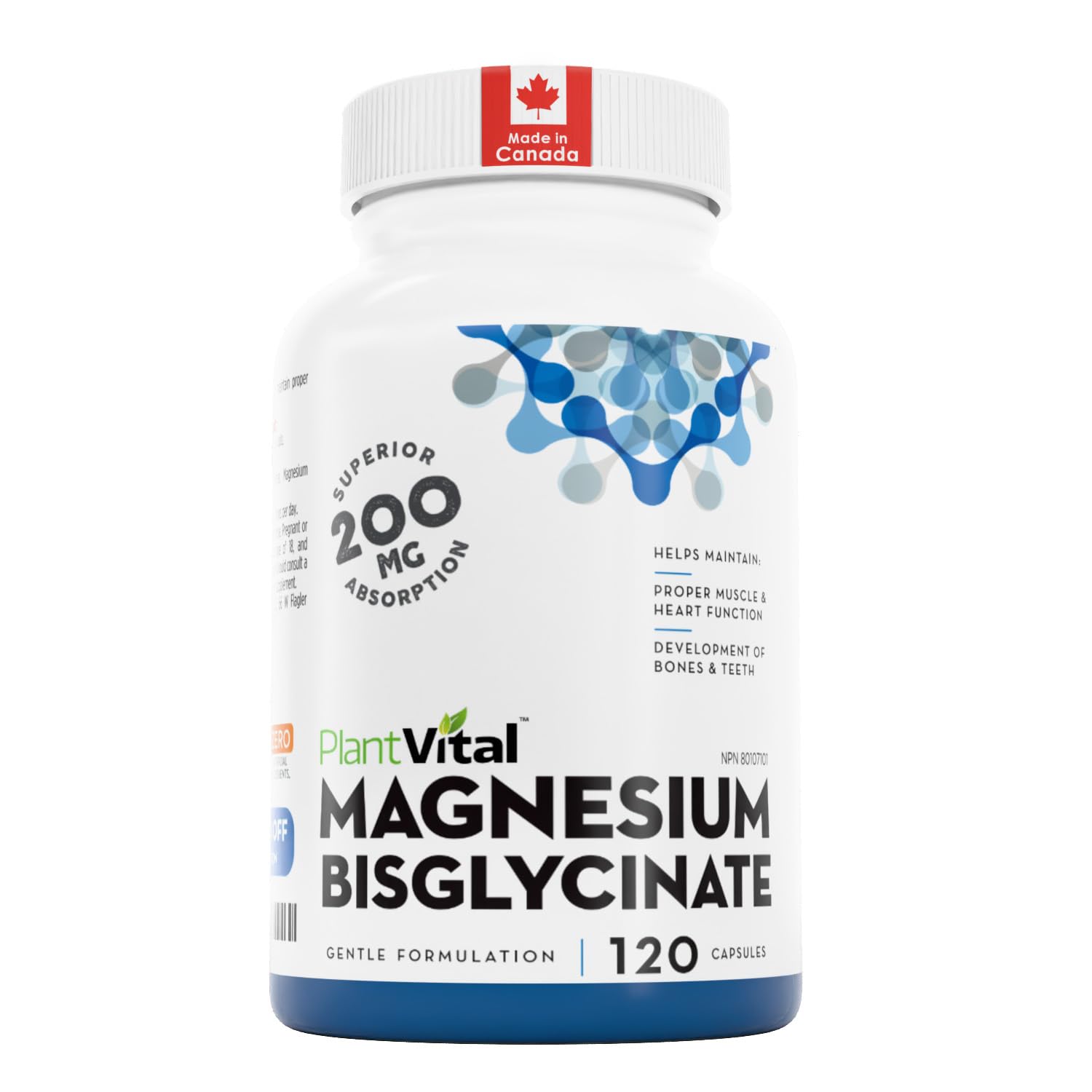 PlantVital Magnesium Bisglycinate - Made in Canada - 200mg Capsules - Magnesium Supplements for Energy Metabolism, Muscle Function, Bone and Heart Health, and Electrolyte Balance - 120 Vegan Capsules