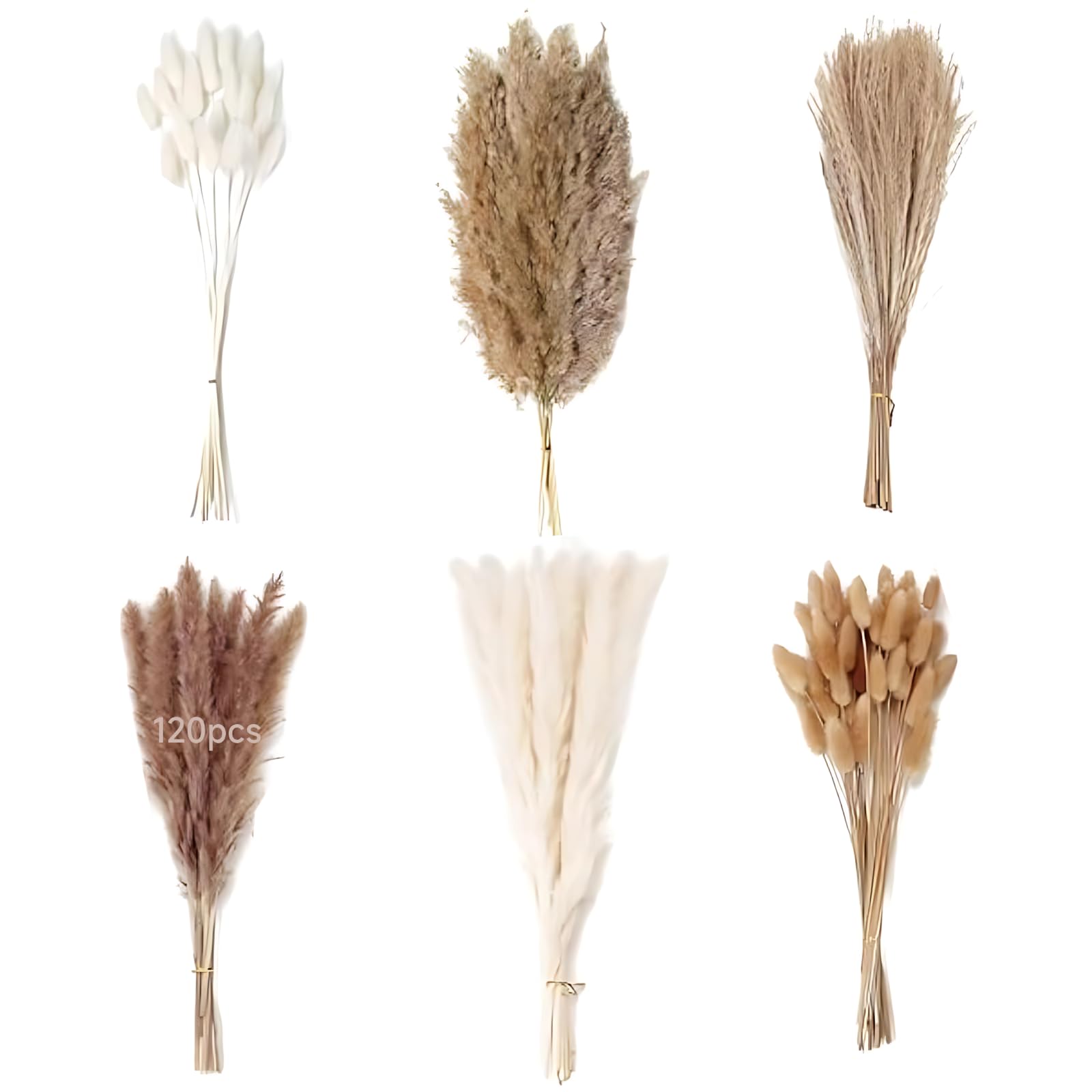 Bouquet de 120 Fleurs séchées en Herbe de Pampa de 40 à 45 cm, roseaux naturels, queues de Lapin moelleuses, déco bohème, Composition automnale, création Florale DIY, avec boîte, pour la Maison et Le
