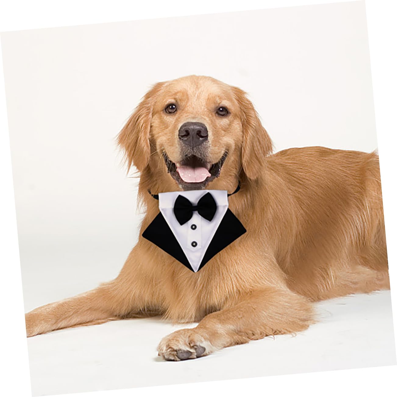 BESPORTBLE 3juegos Bandana Triangular para Perros Babero para Mascotas Accesorio De Moda Talla para Mantener Limpio Tu Perro Al Comer
