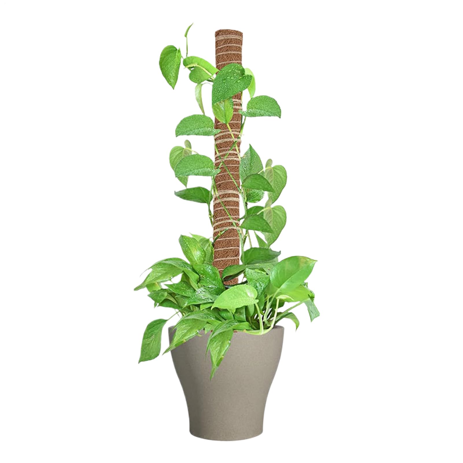 Moss Pole for Plants Removable Plant Supports Coir Moss Poles