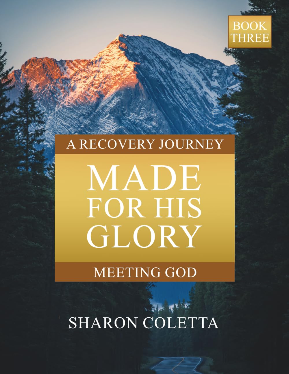 Meeting God (Book Three) (Made for His Glory)