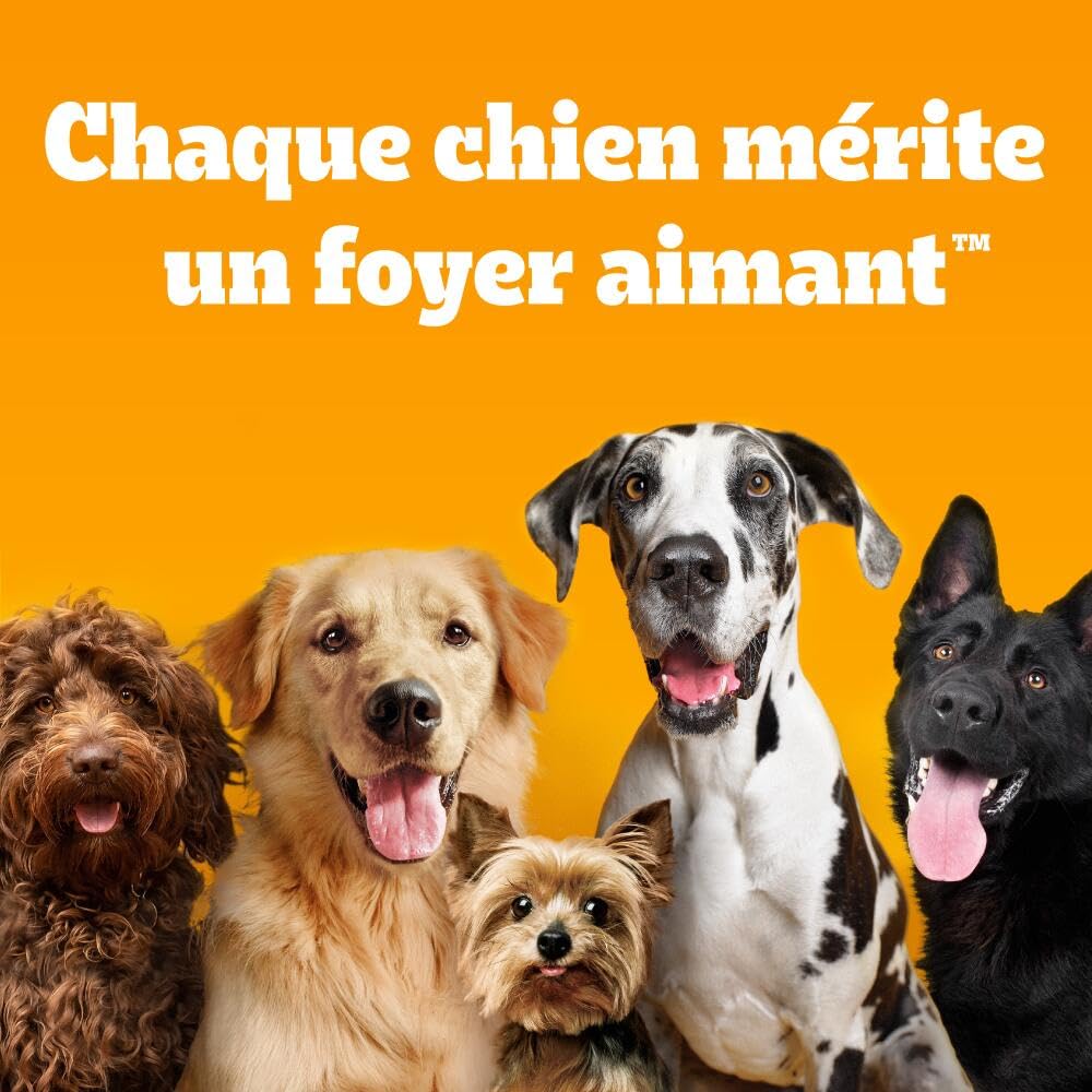 Croquettes PEDIGREE Junior volaille & légumes Chiot Moyen Grand 3 x 3 kg
