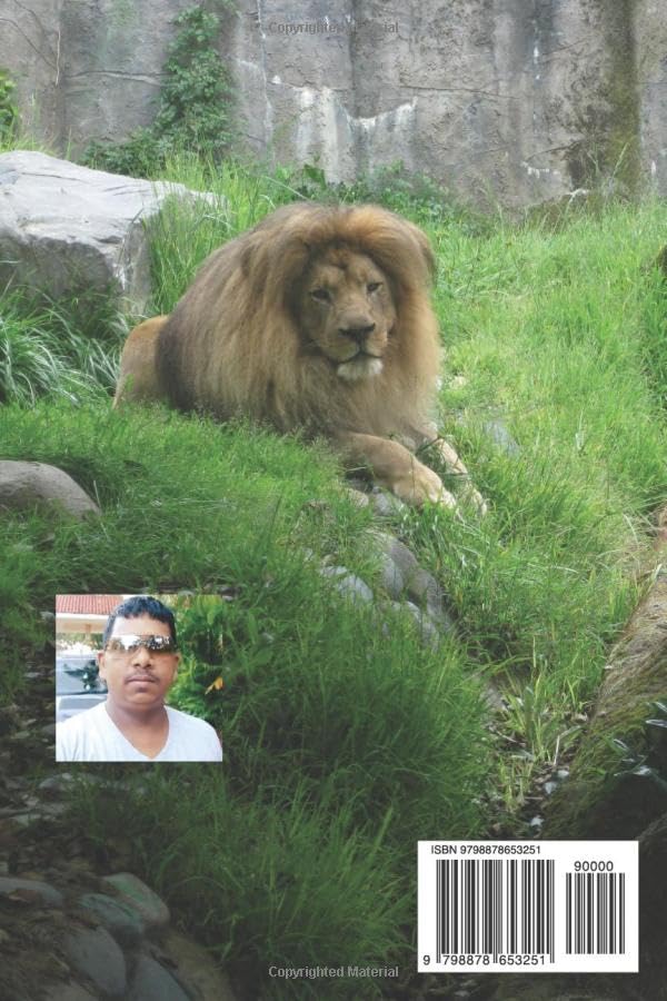 Miniatura 2 de Roaring Adventures Coloring Book - Lion Edition