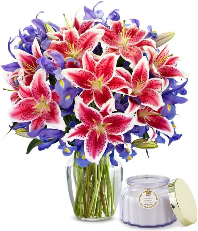 From You Flowers - Brilliant Blooms Bouquet with Glass Vase | Fresh Flower Bouquets for Birthday, Anniversary, Get Well or Celebration