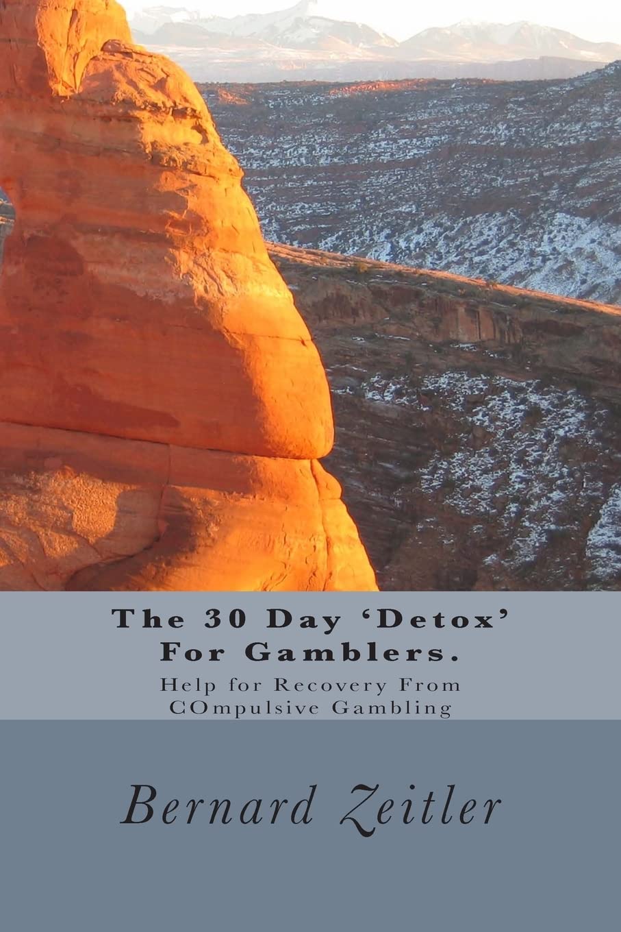 The 30 Day 'Detox' For Gamblers.: Help for Recovery From COmpulsive Gambling (Addiction Recovery Help) Paperback – April 26, 2015
