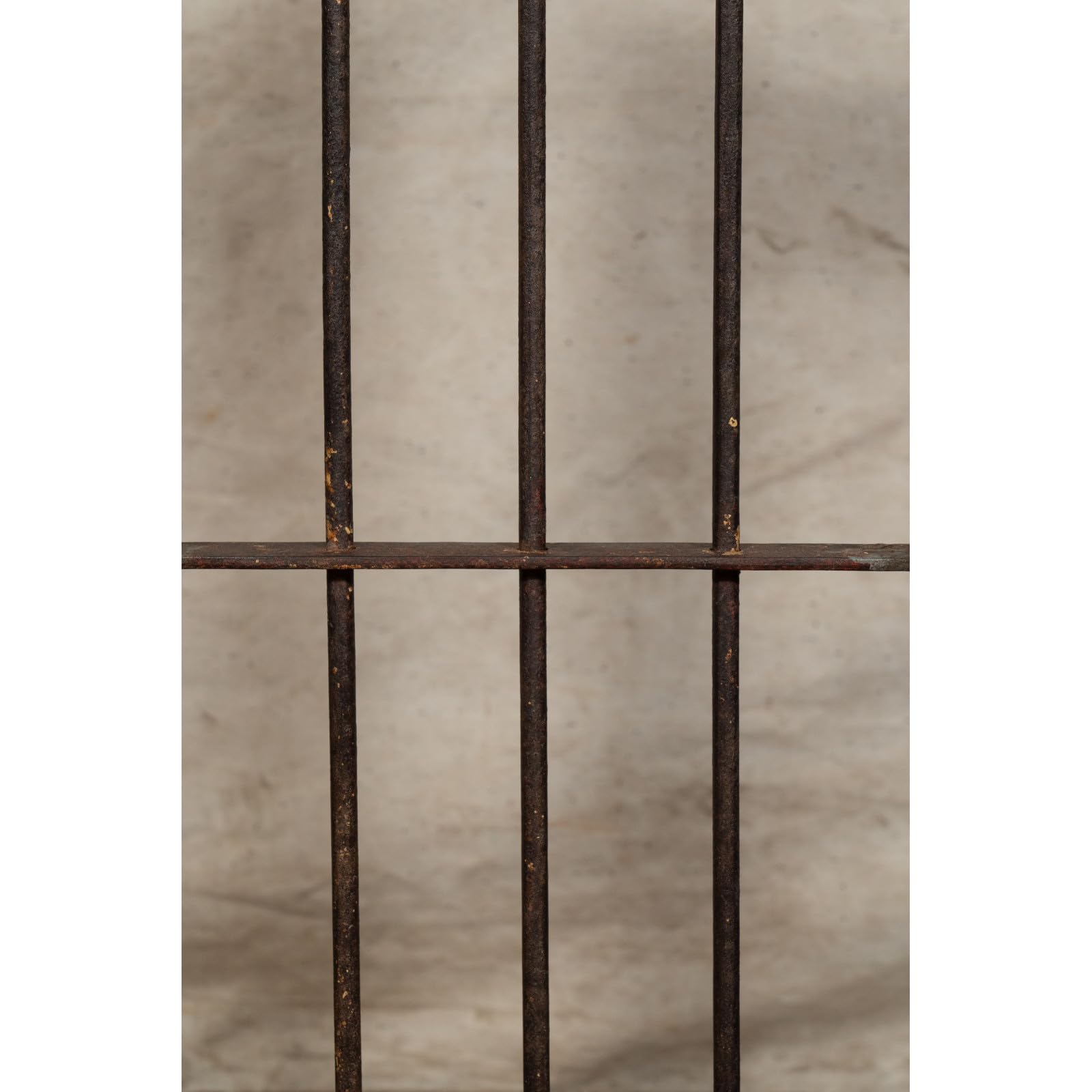 Biscottini Porta interna finestra L46,5xPR11,5xH102,5 - Porta in ferro - Porte da interno ed esterno - Arredo casa