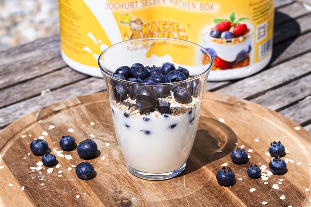 Joghurtbox Joghurtbereiter ohne Strom 2X 0,5 Liter Glas, Joghurt selber Machen