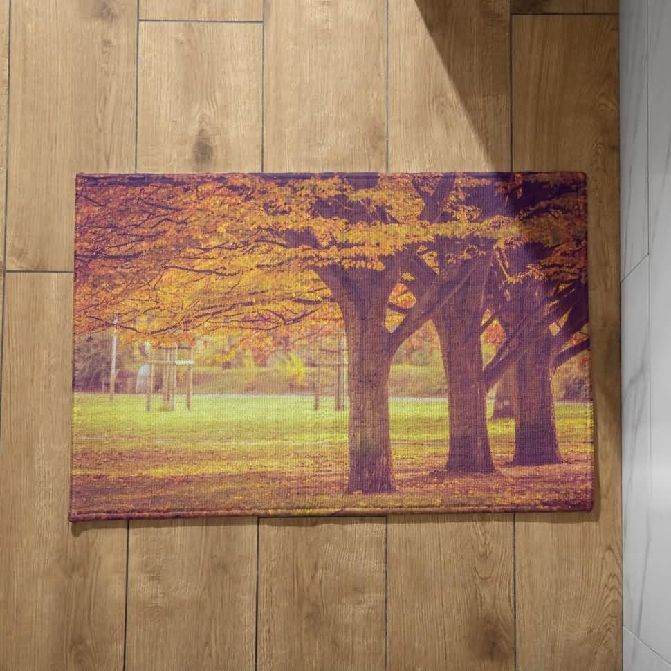 Tapis de porte d'entrée intérieure CEVAN ultra absorbant pour garder vos sols propres