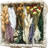 DIY Natural Dried Flower Set – Mini Dried Flowers Bulk, 16 Varieties Dried Florals with Stems for Vase, Crafts, Wreaths & Rustic Decor (Natural Brown Mix)