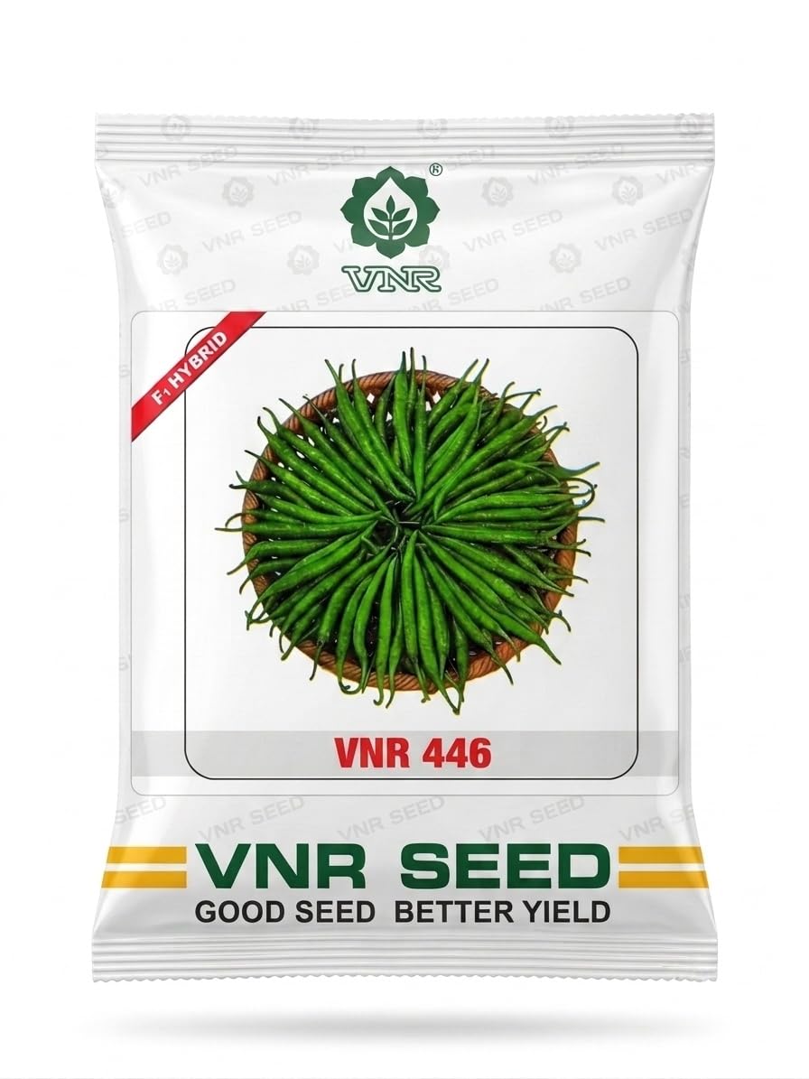 446 F1 Hybrid Green Chilli Seeds | High Yield Variety, F1 Hybrid, Long Green Chillies, Better Yield, VNR 446-image-4