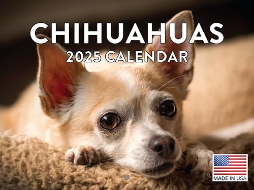 Vista 299 de Calendario Goldendoodle 2026 Golden Doodle mensual de pared calendario de 12 meses Fabricado en Estados Unidos