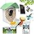 Smart Bird Feeder with Camera for Outdoors,Window Bird Feeder Camera with AI Auto Capture Bird Videos & Motion Detection, Solar Panel for Wild Bird Watching, Ideal Gift for Bird Lover,Green