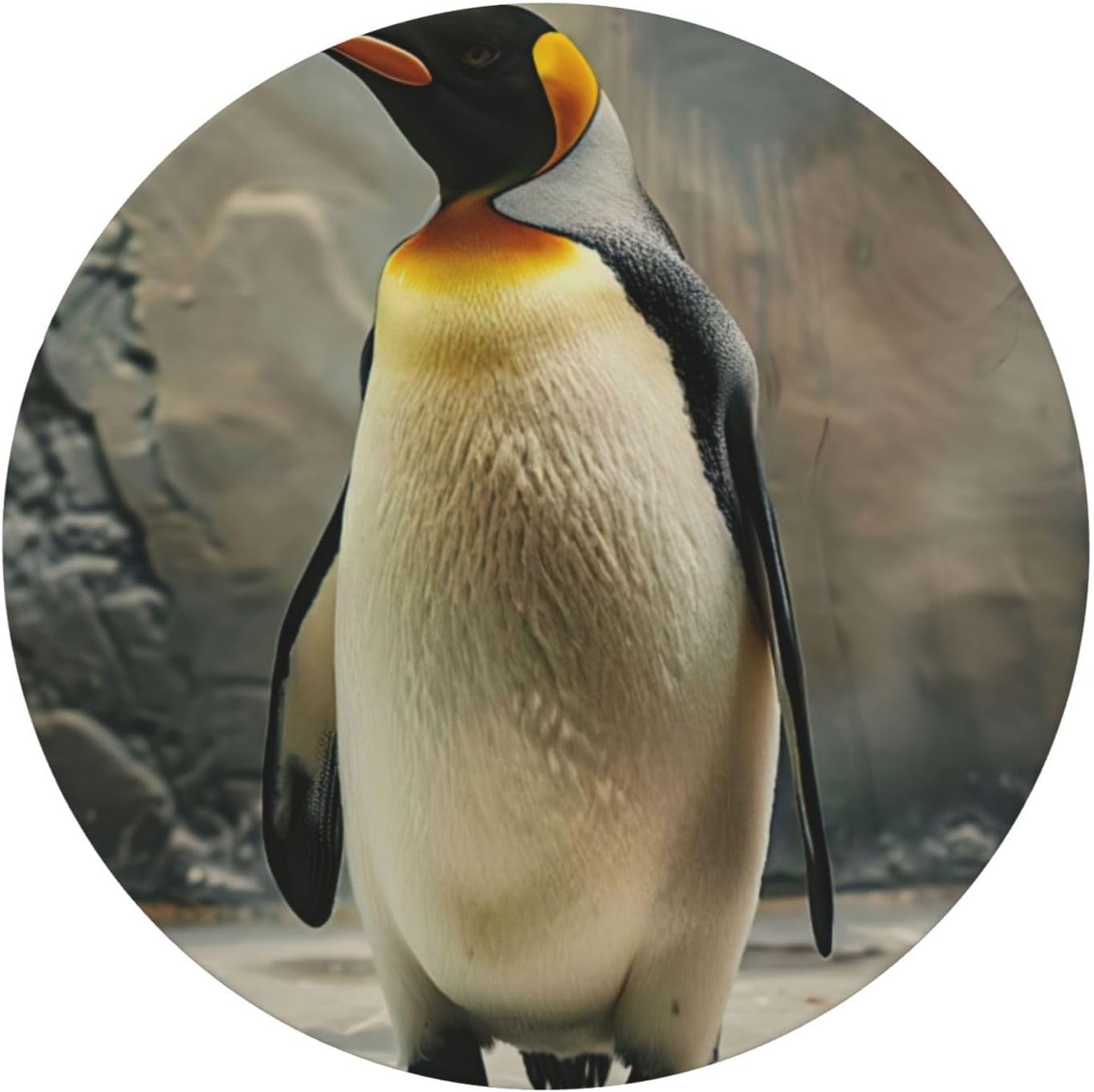 Penguin Print Outdoor Patio Kitchen Decor Supplies Wipeable Round Table Cloth for Indoor Outdoor