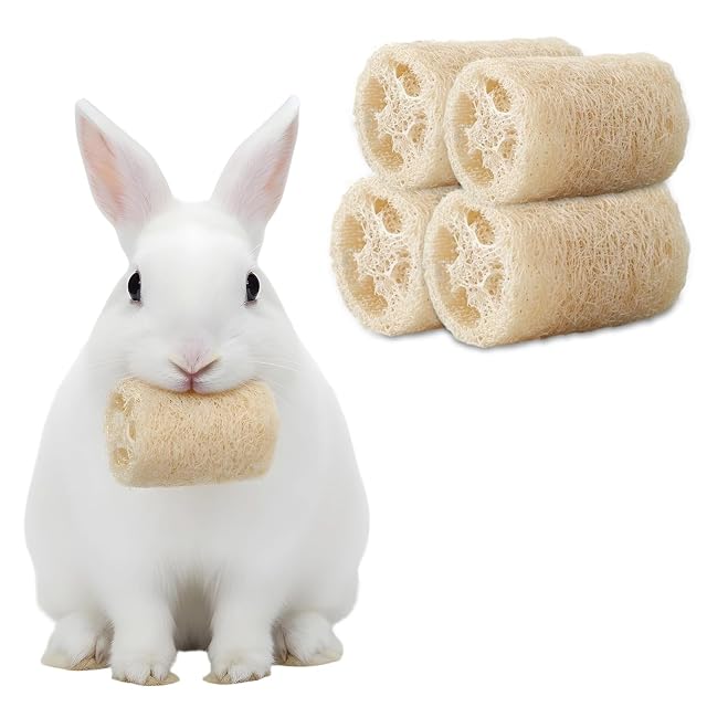 4 PCS Rabbit Chew Toys Natural Loofah Bunny Toys Pet Enrichment Accessories Bunny Teeth Grinding Toy Small Animal