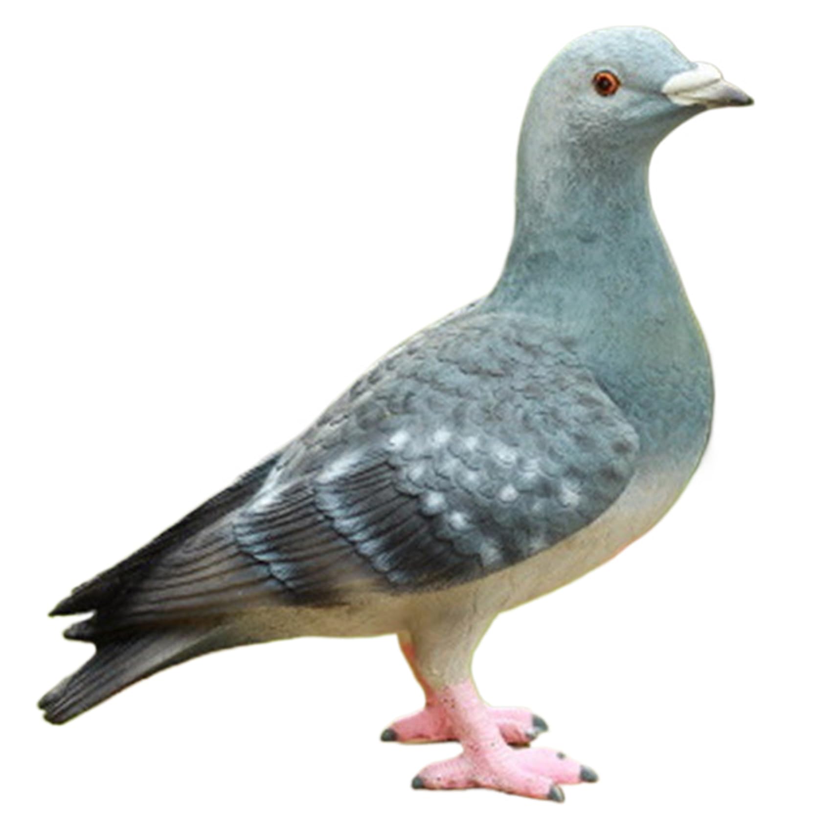 Wedhapy Lawn Statues Pigeon Resin Lifelike Bird Figurines with Detailed Feathers Texture Bird Statue with Realistic Appearance for Garden Lawn Yard Outdoor, Grey