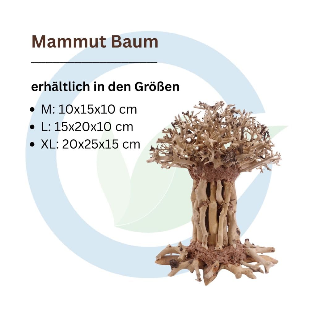 AquaOne Aquarium Bonsai Mammut Baum L Wurzel Oriental Holz 15x10x20 cm I Aquascaping Dekoration I Natur Unikat Bonsaibaum I Landschaft Deko Unterwasserlandschaft