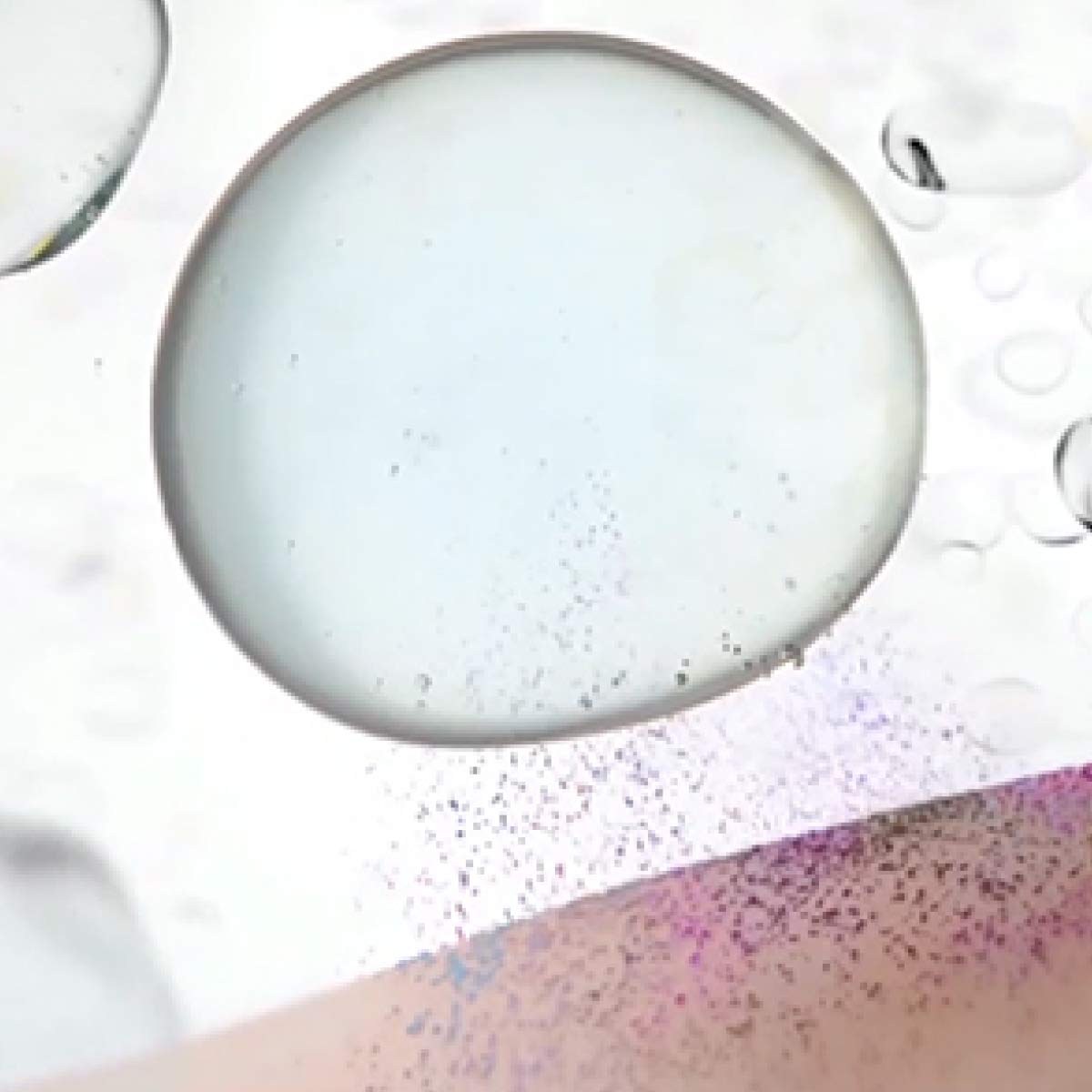 Garnier Acqua di Rose Micellare per Pelli Spente e Sensibili, 400 ml, 1 Unità, Confezione da 1