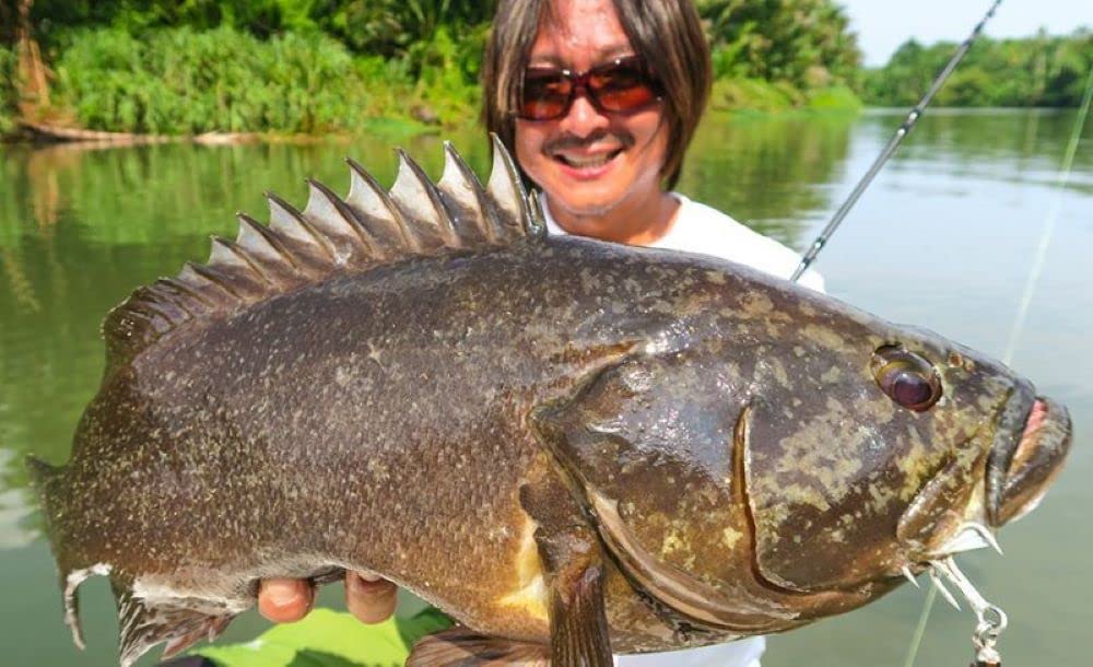 Amazon | 【Fishman/フィッシュマン】BC4 5.10XH | HEDGEHOG STUDIO