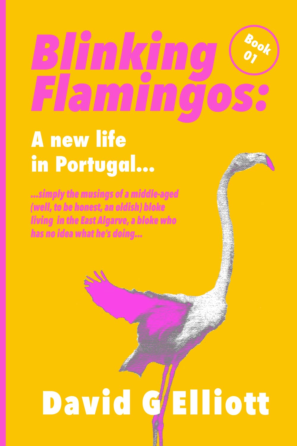 A new life in Portugal: An introduction to my new life in the Algarve: 01 (Blinking Flamingos)