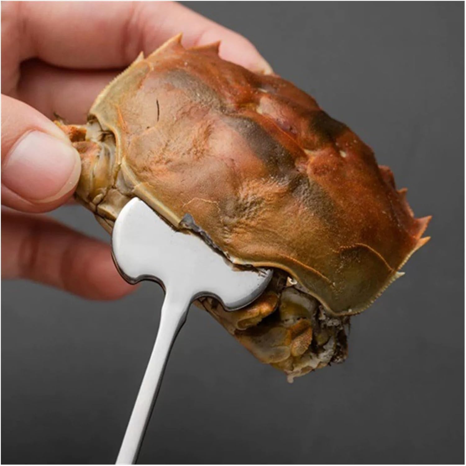 Seafood Tools 8 Pcs Seafood Tool Set Crab Eating Tool Crab Leg Forks Seafood Forks Picks Steel Seafood Forks eat Crab Utensils Stainless Steel Lobster Tools