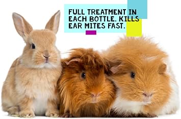 Naqua Pharmaceuticals Ivermectin 1% 5ml - Mite Treatment for Rabbits, Ferrets, Guinea Pigs, Rats & Chinchilla. Also kills lice, fleas & ticks. Vet Strength.