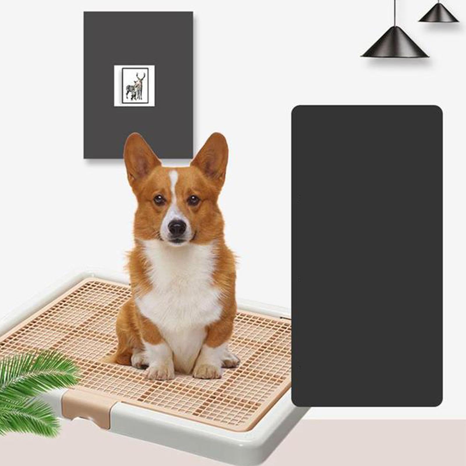 Bac à Litière pour Chat, Aide à L'apprentissage de La Propreté pour Chiens, Facile à Nettoyer, en Polypropylène, avec Grille Amovible, Con, Café au Lait